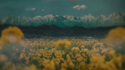 The Girl Who Leapt Through Time Bild 7