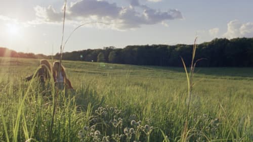 A Sweetness of Lapse Bild 1