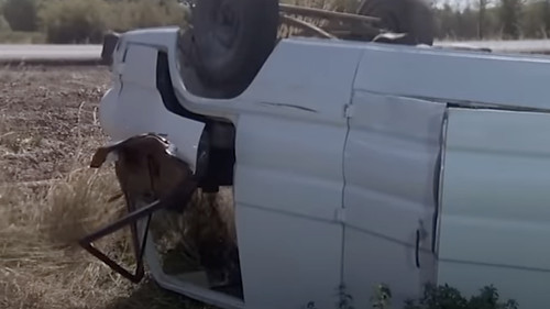 Unser neuer Bruder Bild 1