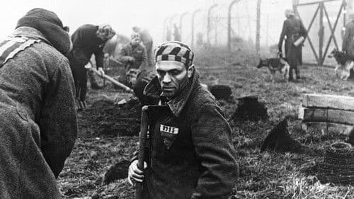 Menschen und Tiere Bild 1