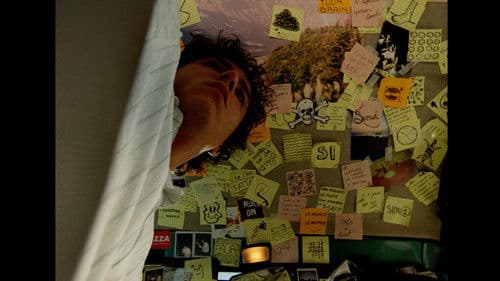 Il Panda Minore Bild 3