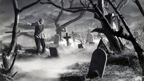 Frankensteins Sohn Bild 1