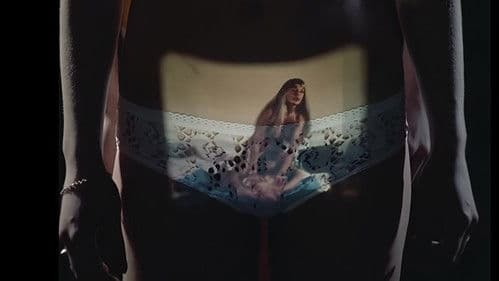 スェーデン・ポルノ　欲情初体験 Bild 1