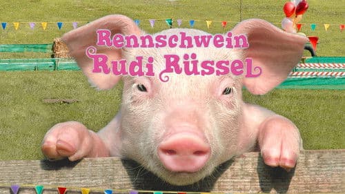 Rennschwein Rudi Rüssel Bild 2