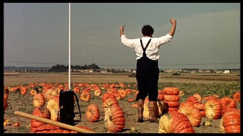 Alexander der Lebenskünstler Bild 5