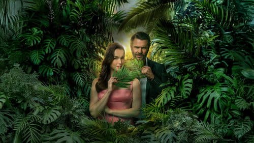 Mystery Island: Winner Takes All Bild 3