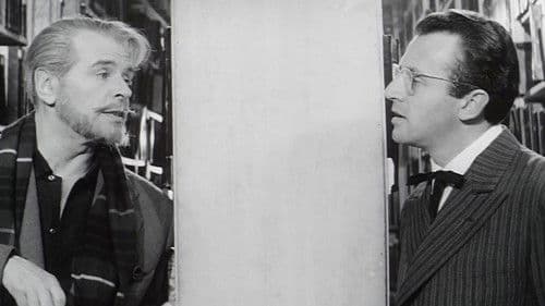 Das Geheimnis der schwarzen Witwe Bild 2