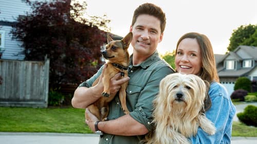 The More Love Grows Bild 3