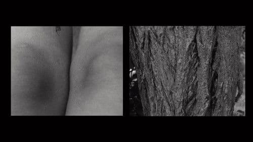 Δέρμα Πόλης/Πόλης Δέρμα Bild 1