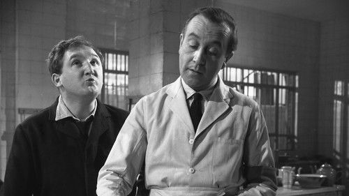 The Pot Carriers Bild 2