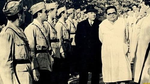 Cose da pazzi Bild 1