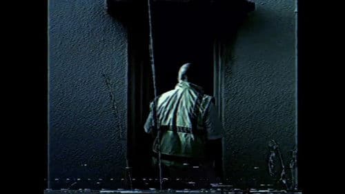 Morning Deliveries Bild 5