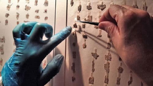 The Secrets of the Dead Sea Scrolls Bild 1