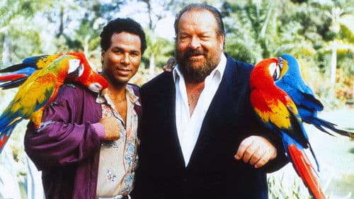 Zwei Supertypen in Miami Bild 1