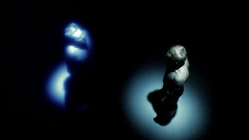 Memoria Bild 6