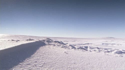 Top Gear: Polar Special Bild 5