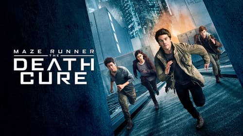 Maze Runner - Die Auserwählten in der Todeszone Bild 5