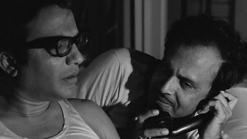 চিড়িয়াখানা Bild 2