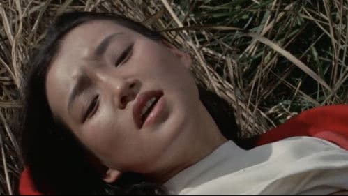 セミドキュメント　観光バス・濡れ濡れジャック Bild 4