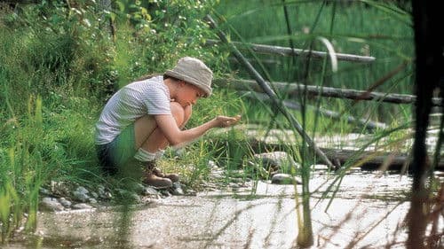 Amy und die Wildgänse Bild 2
