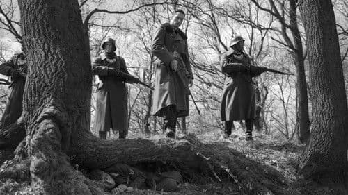 Der Hauptmann Bild 3