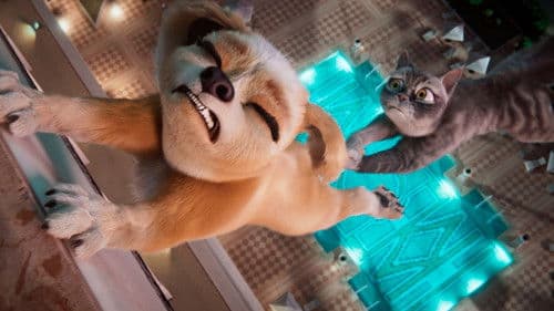 Gracie & Pedro: Pets to the Rescue Bild 3