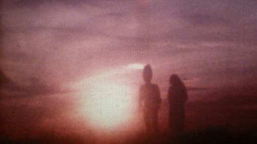 東京白菜関K者 Bild 1