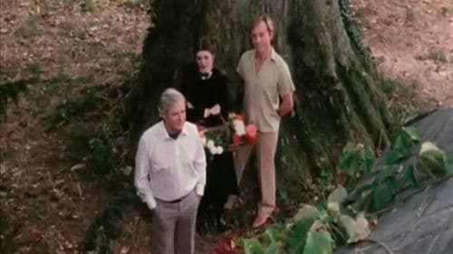 The Ice House Bild 3