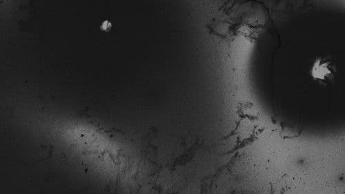 Una sombra oscilante Bild 3