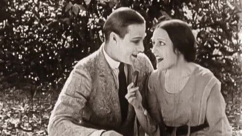 A Society Sensation Bild 5