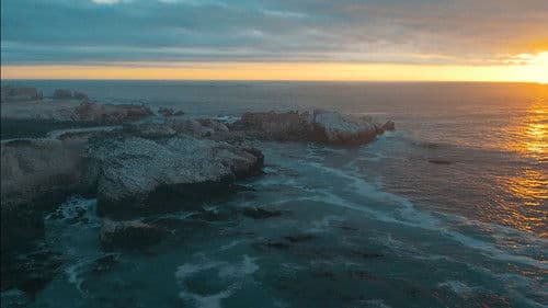 Pacificum – Rückkehr zum Meer Bild 8