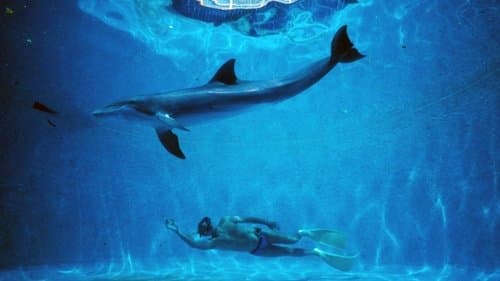 Im Rausch der Tiefe Bild 1