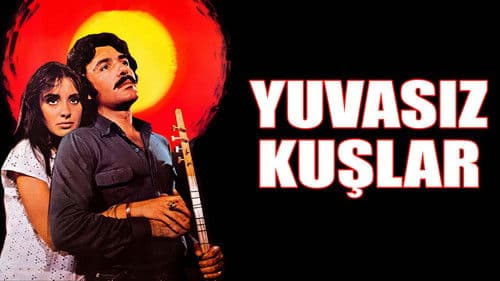 Yuvasız Kuşlar Bild 4