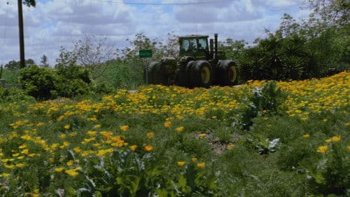 Lyvia's House Bild 3