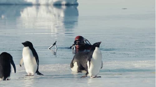 Antarktis - Die Reise der Pinguine Bild 5