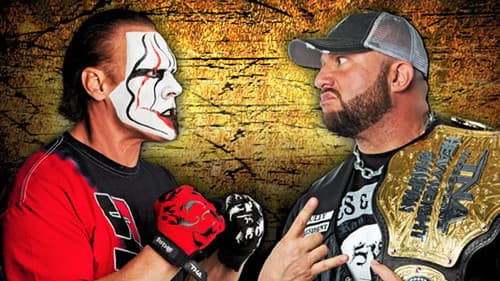 TNA Slammiversary XI Bild 1