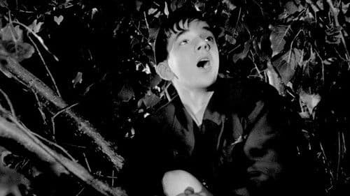 Le Rossignol et les cloches Bild 1