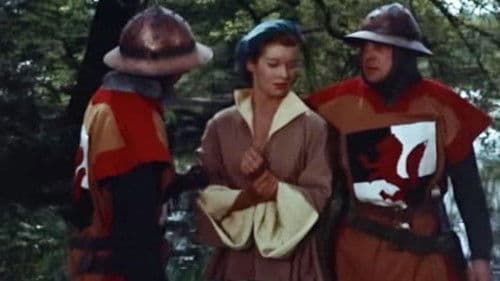 Robin Hood, der rote Rächer Bild 6