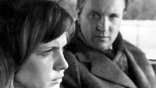 Das Kaninchen bin ich Bild 4