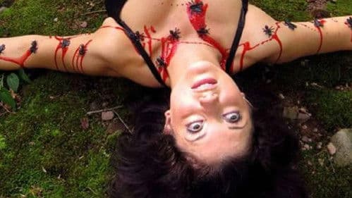 Antfarm Dickhole Bild 1