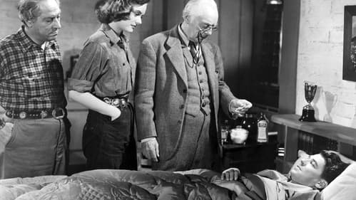 Stallion Road Bild 4