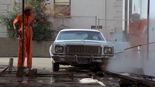 Car Wash - Der ausgeflippte Waschsalon Bild 3