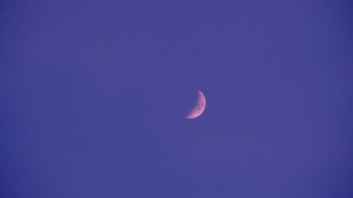 アンモナイトのささやきを聞いた Bild 6