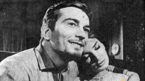 Haut in der Sonne Bild 2