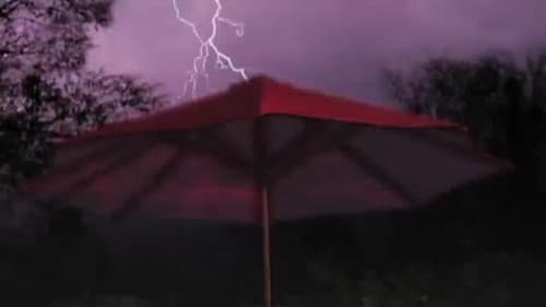 Almost Invisible Bild 2