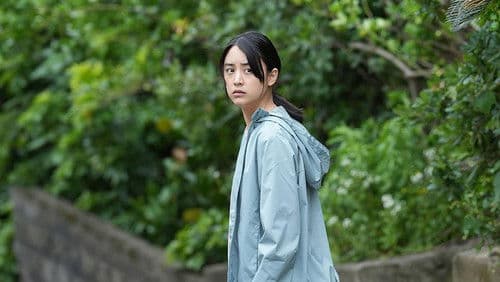 忌怪島／きかいじま Bild 1