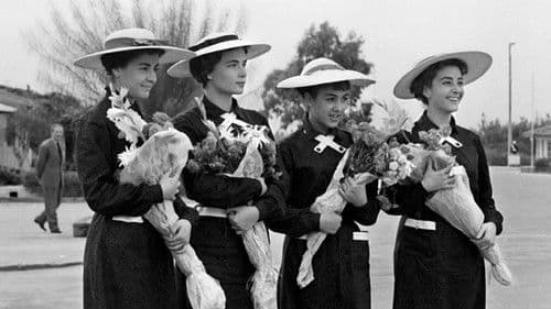 Η Θεία Απ' Το Σικάγο Bild 8