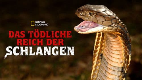 Das tödliche Reich der Schlangen Bild 7