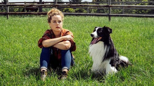 Reiterhof Wildenstein Bild 5