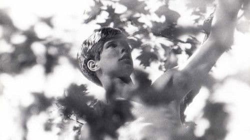 A Separate Peace Bild 3